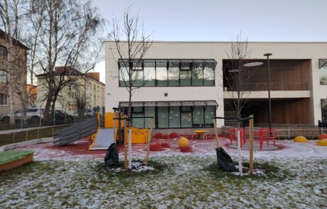 Maasika puittaimed