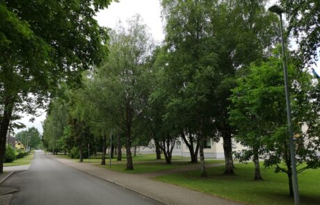 rapla-puittaimede-inventuur-3