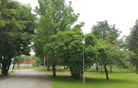 rapla-puittaimede-inventuur-4
