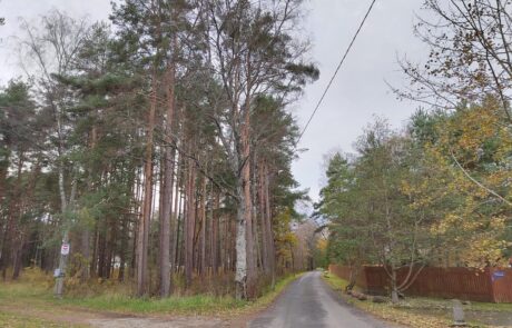 tiskre-tee-4