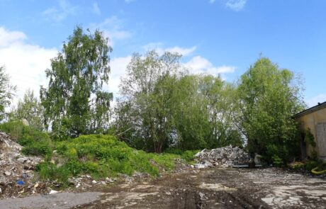 paljassaare-3